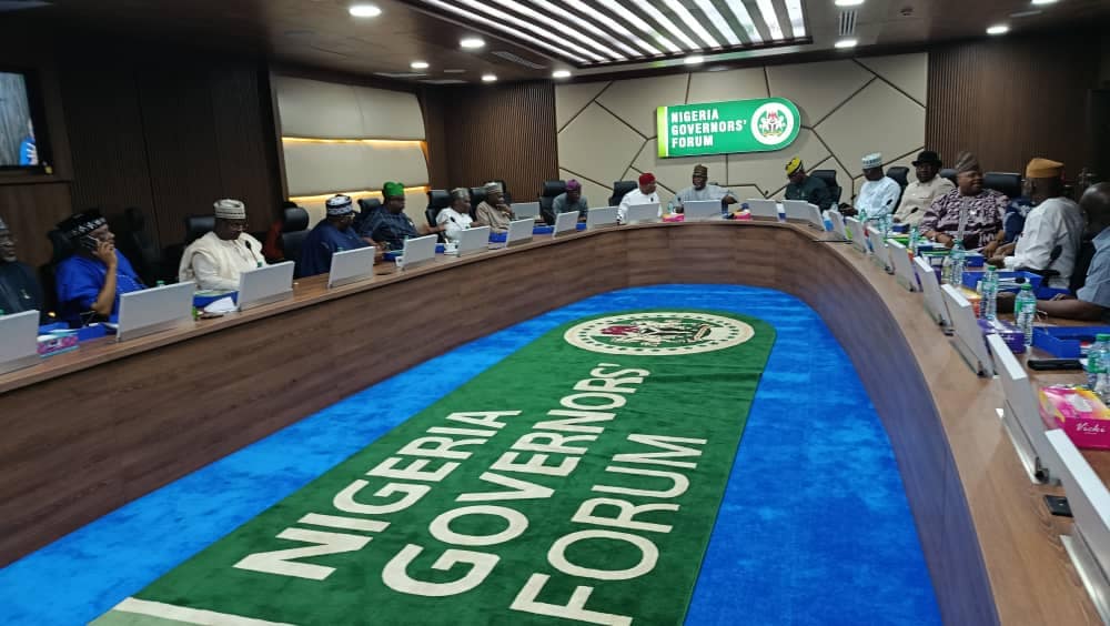 Diaspora investment supporting Nigeria’s development